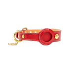 Collier Chien Cuir Véritable avec Porte-Airtag — Compatible Apple 12