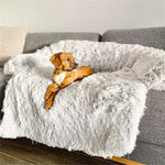 Lit Chien Moelleux — Coussin Confort Doux Repos Premium Toutes Saisons 1