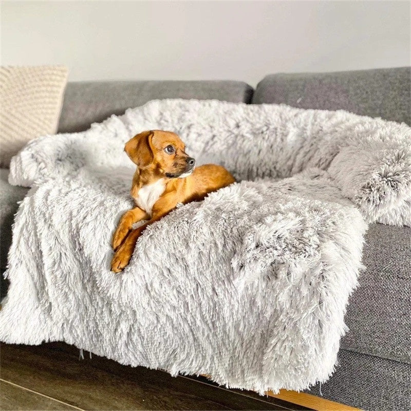 Lit Chien Moelleux — Coussin Confort Doux Repos Premium Toutes Saisons