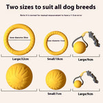 Kit Dressage Spécial Border Collie — Accessoires Entraînement Professionnel Chien 2