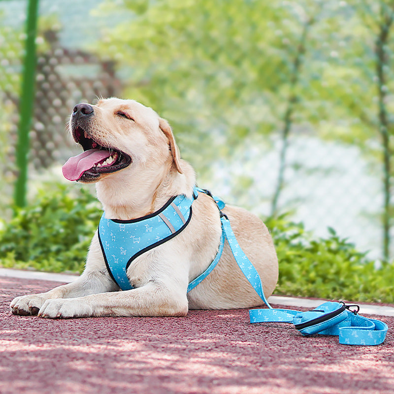 Harnais Laisse Chien Nœud Papillon — Élégant Confort Promenade Premium