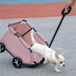 Poussette Chien Chat Pliable — Trolley Promenade Portable Confort Premium 2