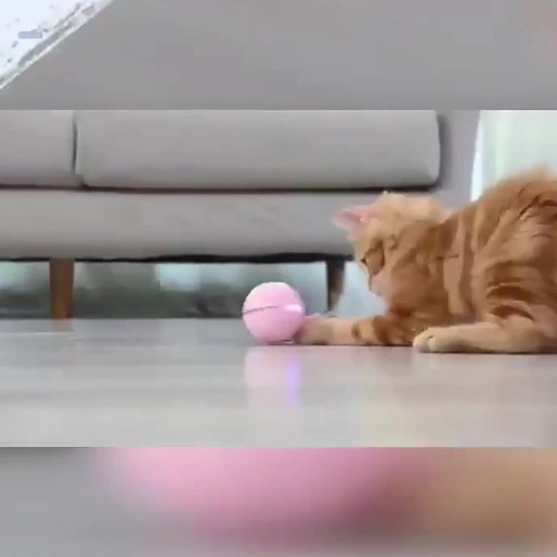 Balle LED Plumes Électrique Chat — Taquineur Automatique Rechargeable USB