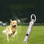 Sifflet Ultrasonique Dressage Chien — Anti-Aboiement Réglable Accessoire 5