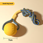 Kit Dressage Spécial Border Collie — Accessoires Entraînement Professionnel Chien 8
