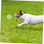 Balle Citrouille Squeaky Chien — Jouet Dentition Mâcher Couineur Plastique 7