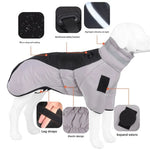 Manteau Hiver Chien Grande Race Waterproof — Veste Réfléchissante Neige Froid 5
