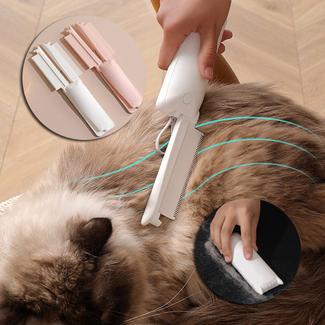 Brosse Massage Épilation Chat Chien — Démêlant Poils Flottants Toilettage