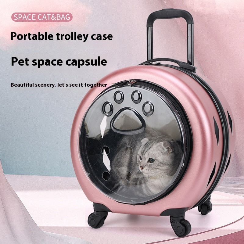 Sac Trolley Transparent Renforcé PC Chat Chien — Portable Voyage Premium