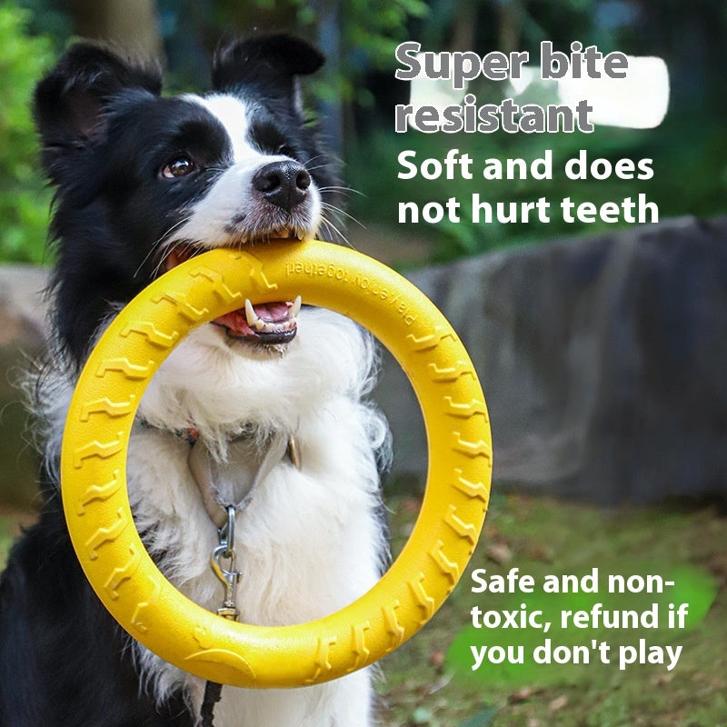 Kit Dressage Spécial Border Collie — Accessoires Entraînement Professionnel Chien