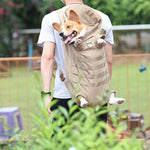 Sac à Dos Respirant Spécial Chien Moyen — Transport Confort Outdoor Premium 1