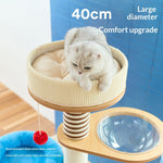 Arbre à Chat Luxe en Bois Massif — Griffoir Lit Perchoir Design Premium 2