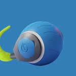 Jouet Queue Rapide Chat — Balle Interactive Vitesse Réglable Rechargeable USB 11