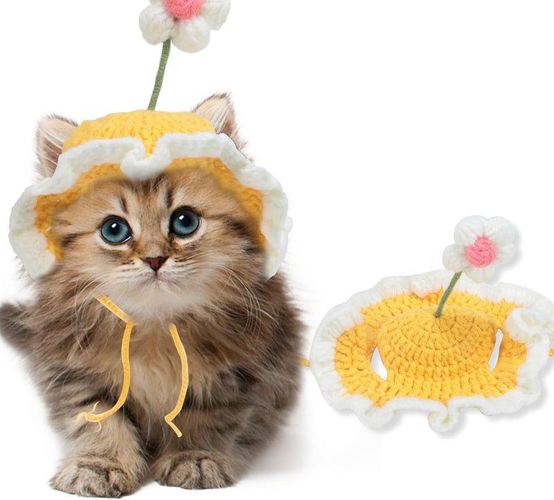 Chapeau Tricoté Chat Chien — Costume Drôle Halloween Noël Anniversaire Kawaii
