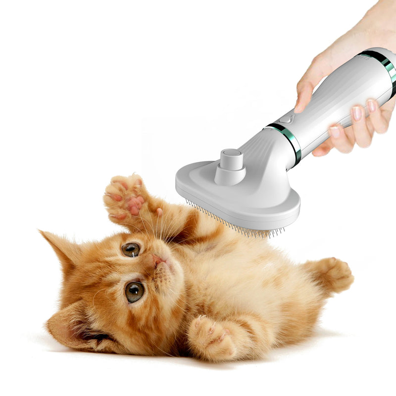 Sèche-Poils Peigne Intégré Animal — Brosse Séchante Toilettage Professionnel