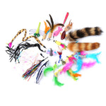 Canne à Pêche Chat 3 Sections — Kit Taquineur Plumes Télescopique Interactif 4