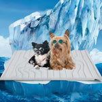 Tapis Rafraîchissant Chien & Chat — Coussin Gel Cooling Été Confort Optimal 1