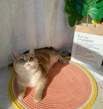 Arbre à Chat Sisal — Griffoir Plateforme Saut Décoration Intérieure Premium 3