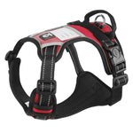 Harnais Gilet Poitrail Chien — Sangle Confort Sécurité Promenade Premium 11