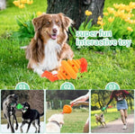 Balle Corde Nœud Chien — Jouet Distributeur Nourriture Mastication Grande Race 8